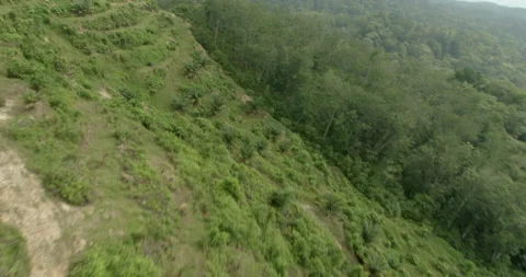 Drone view of landscape surrounding Sime Darby Plantation, Malaysia Stock-Footage 141433560