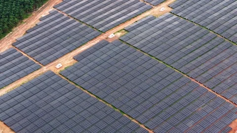 Drone view large scale solar panels near oil palm plantation Video stock 329357695