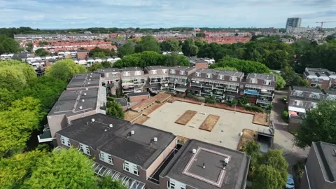 Drone view of leafy city suburb with mixed residential zones Vídeo Stock 342938314