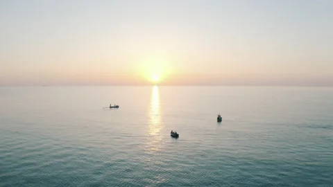 Drone view of the lighthouse in the trees, the white lighthouse building built Stock Footage 234098707