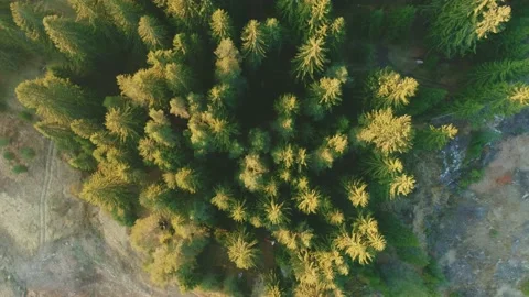 Drone view at little island in lake Dospat.Landscape of Dospat dam in Bulgaria. Stockbeeldmateriaal 167722053