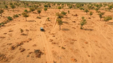 Drone view of a lone 4x4 following faint sandy tracks through the tree-dotted Stock Footage 345846535