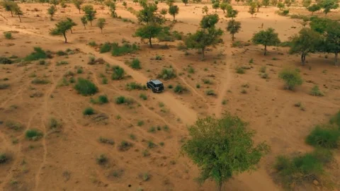 Drone view of a lone 4x4 navigating intersecting sandy tracks through thorn Stock Footage 345846487