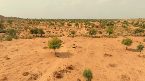 Drone view of a lone 4x4 parked beneath a tree in the Thar Desert, Sindh Stock Footage 345845517
