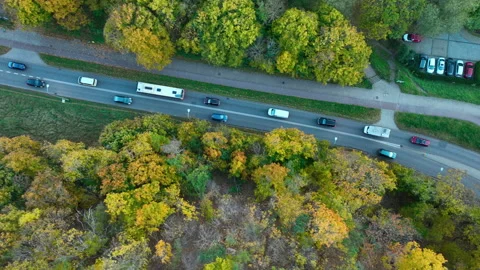 Drone view of a long line of vehicles driving along a forest road surrounded by Stock Footage 321499705