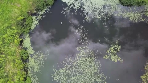 Drone view, looking straight down over a pond flying towards the pound 動画素材 295095667