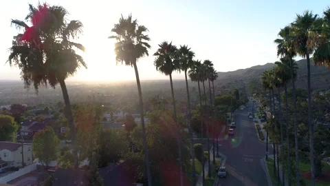 Drone view of Los Angeles through tall palm trees into the sun Stock Footage 138079547