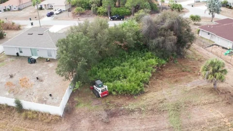 Drone View of Lot Clearing Next to Residential Property with Dense Greenery Stock-Footage 334012426
