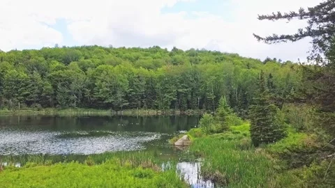 Drone view at low altitude moving slowly forward over a quiet lake and a mo.. 動画素材 295088384