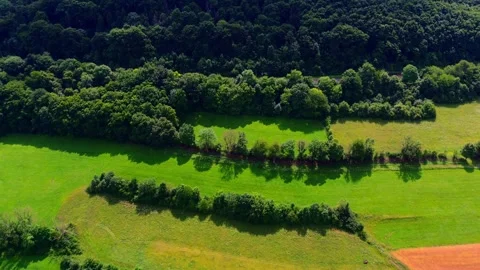 Drone View of Lush Green Fields Divided by Tree Rows and Forest Edge in Stock Footage 313191846