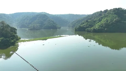 Drone View of Lush Green Hills Beside a Peaceful Lake Stock Footage 309917644