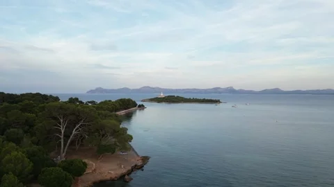 Drone view of lush green trees growing on coast of sea against cloudy sky Stock Footage 260477292