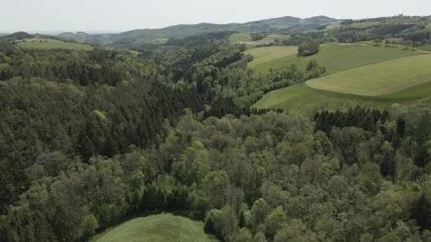 Drone View of Lush Spring Forest and Rolling Hills Stock Footage 307512198