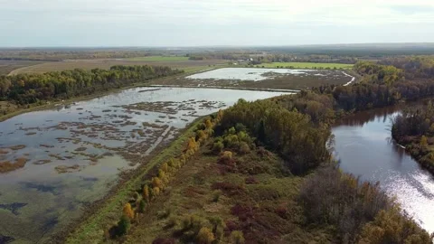 Drone view of marshland Stock Footage 228737511