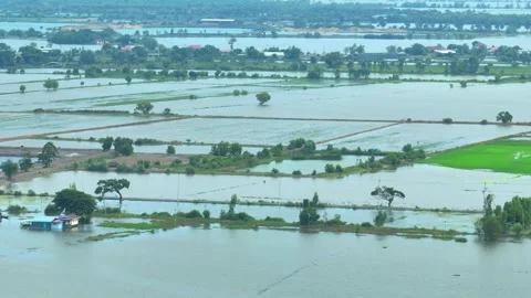 A drone view of massive flooding. Stock Footage 321261905