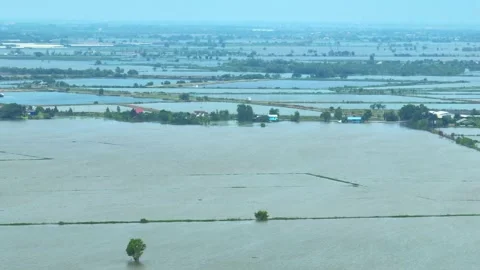 A drone view of massive flooding. Stock Footage 321261919