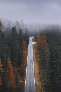 Drone view of a misty coniferous forest in autumn Stock Photos