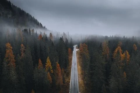 Drone view of a misty coniferous forest in autumn Stock Photos