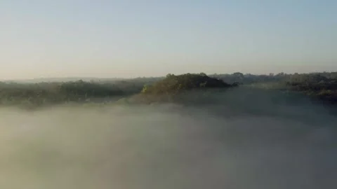 Drone view of misty forest and river creating calm atmospheric landscape 스톡 동영상 332889716