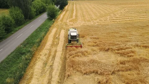 Drone view of a modern combine harvester reaping wheat Video stock 201969093