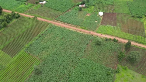 Drone view to Motorcyclist passing through a village in Africa. Stock Footage 235443721