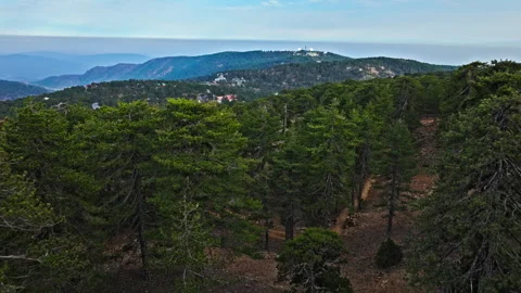 Drone view of Mount Olympus forest in Cyprus. Stock Footage 341605349