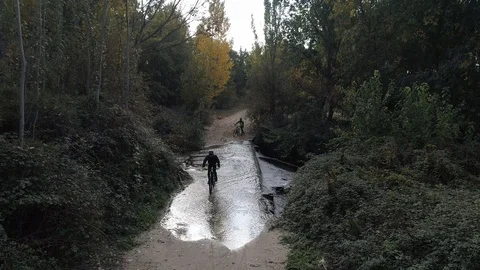 Drone view of mountain bikers in the forest in Spain Stock Footage 111991002