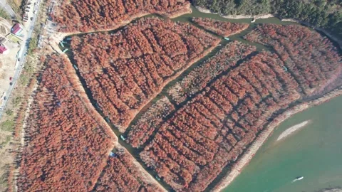 Drone View of Mountain Forest Landscape in Ningguo Anhui China Stock Footage 341596709