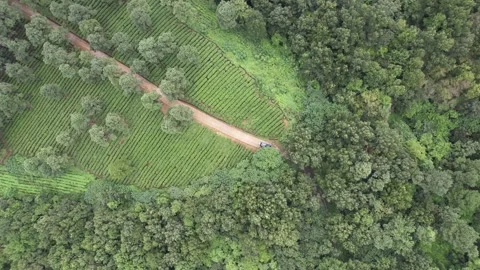 Drone View of Mountain Forest Landscape in Pukou Jiangsu China Stock Footage 341609501