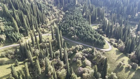 Drone View of Mountain Forest Landscape in Hejing Xinjiang China Stock Footage 341609587
