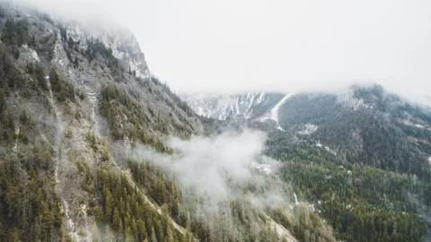 Drone view of a mountain hillside with pine trees on a foggy day. Stock Photos