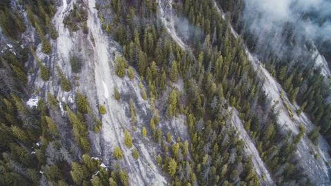 Drone view of a mountain hillside with pine trees on a foggy day. Stock Photos