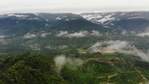 Drone view of mountain at Malaysia Stock Footage 103773532