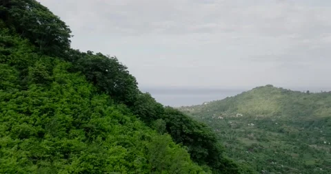 Drone view mountain planting trees in tropical island Bali Stock Footage 236630624