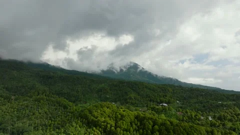 Drone view mountain planting trees in tropical island Bali Stock Footage 236692627
