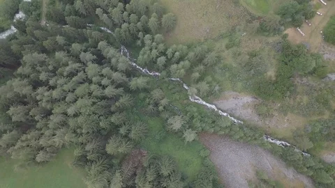 Drone view of mountain river between green trees Video stock 93435788