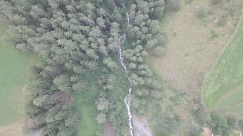 Drone view of mountain river between green trees Video stock 93435827