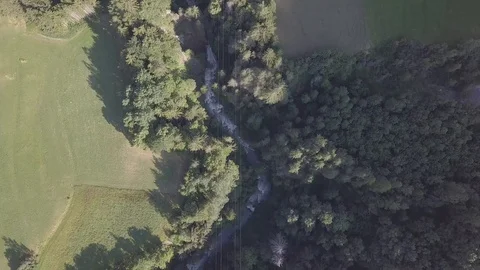 Drone view of mountain river between green trees Video stock 93435843
