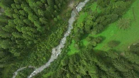 Drone view of a mountain river with forest Stock Footage 317760575
