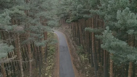 Drone view of a mountain road and forest in Madrid, Spain Stock Footage 111953196
