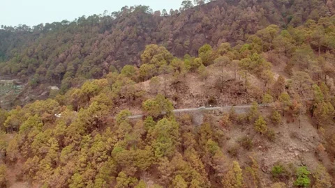 Drone View of Mountain Road Surrounded by Orange Forest Vidéo 335637458