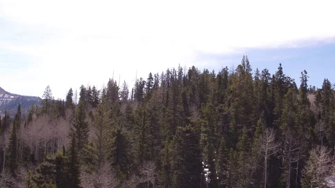 Drone view of mountains and forest Video stock 95456074