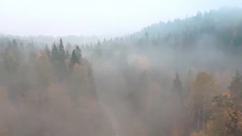 Drone view of mountains and forest through fog and clouds Stock Footage 229767885