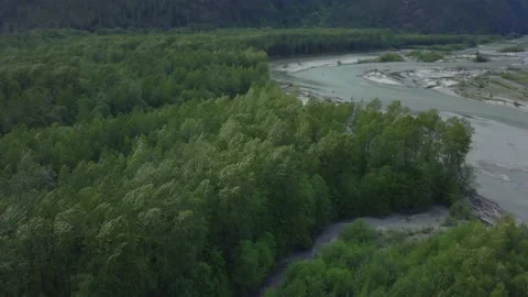Drone View of Mountains and Trees in Elaho Valley - Squamish, BC Stock Footage 196753299