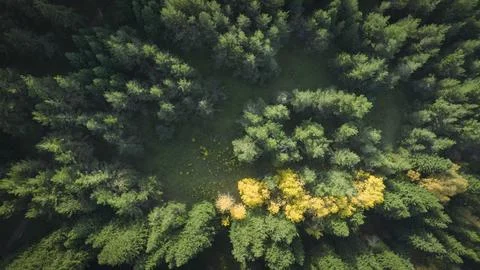 Drone view of the mountains in the fall Stock Photos
