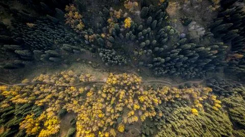 Drone view of the mountains in the fall Stock Photos