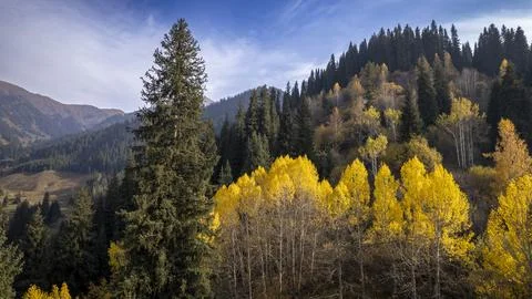 Drone view of the mountains in the fall Stock Photos