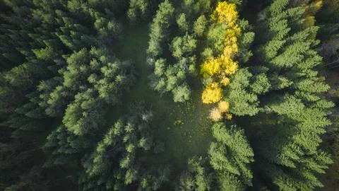 Drone view of the mountains in the fall Stock Photos