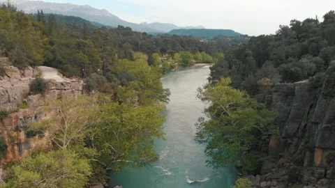 Drone view of Moving mountain River Surrounded by Pine Forest. Shot in turkey Stock Footage 247508187