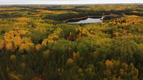 A drone view moving slowly over a lake and a beautifully colored autumn forest. Stock Footage 119387391